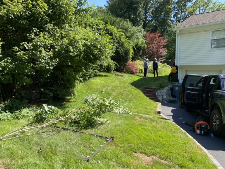 CB2C80C4-72C4-4AE0-A845-25EB55055560_1_105_c