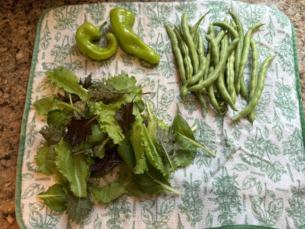 CD840C5B-EE6E-407E-A442-47F569E5ED10_1_105_c