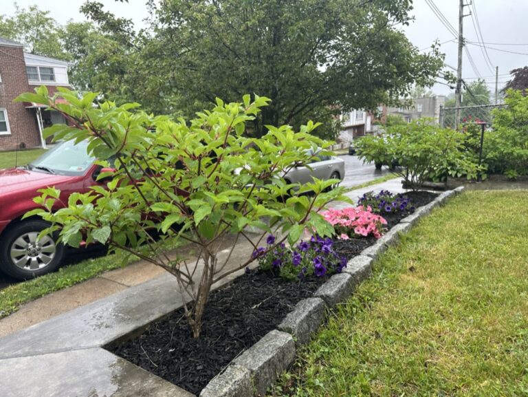 CEFE1132-3306-4F07-B65E-5DC0993388A7_1_105_c