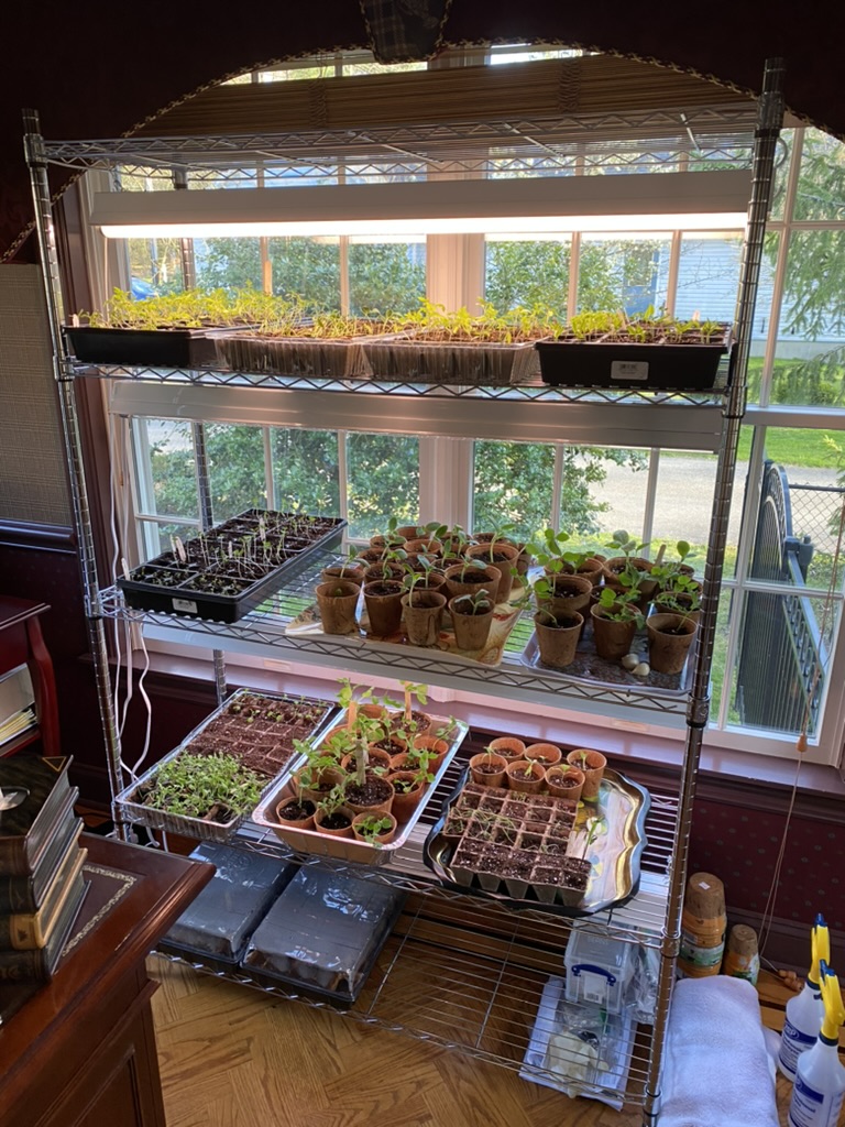 E3A1BCF3-C2FA-4023-B238-653697D1ACBC_1_105_c