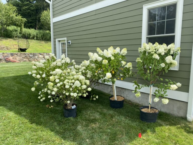 EAB7FE79-8B20-4BC2-8E7E-816775FC9061_1_105_c