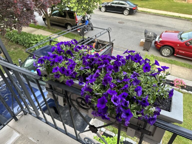 F1234D83-5107-4690-869C-A27E15E3F741_1_105_c