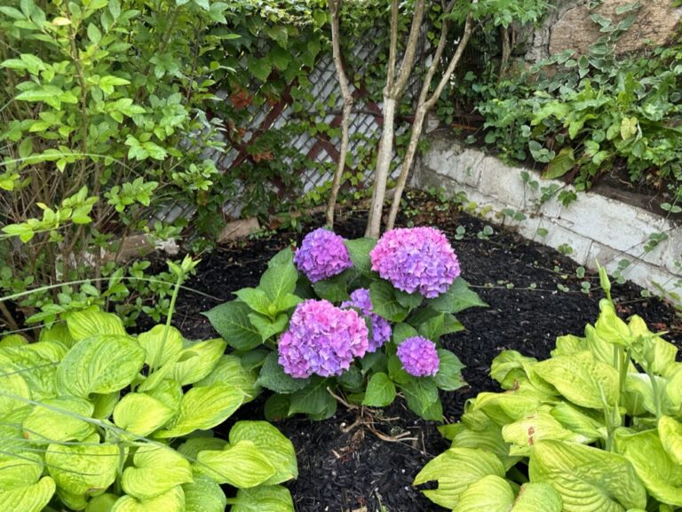 F9237617-13F4-433D-861F-ABD45E3038D3_1_105_c