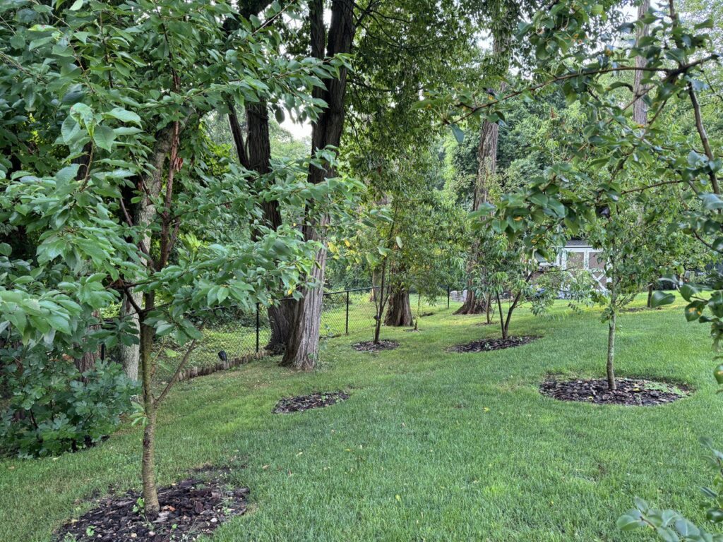 IMAGE 2024-07-17 20:29:38