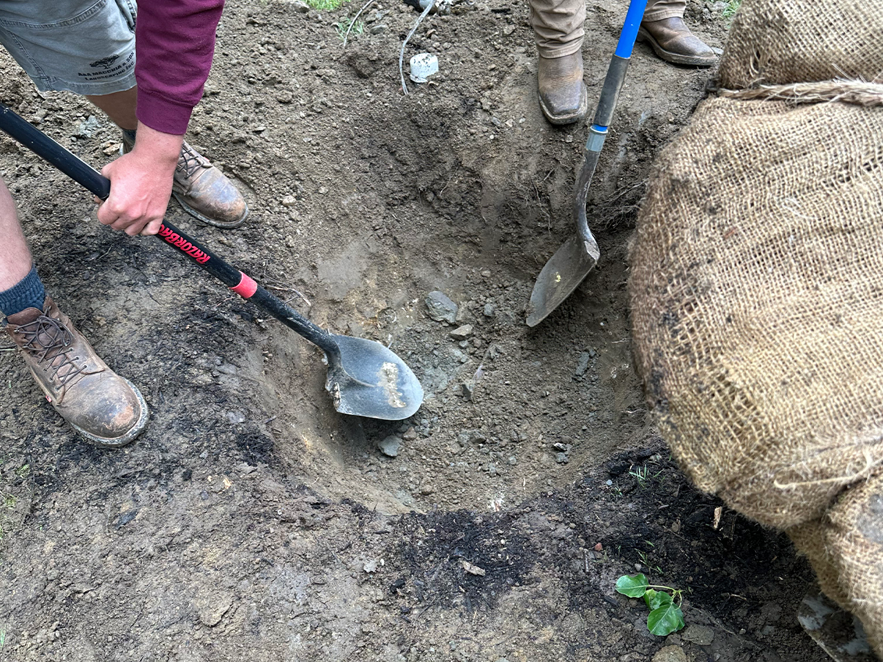 Image hover effect image