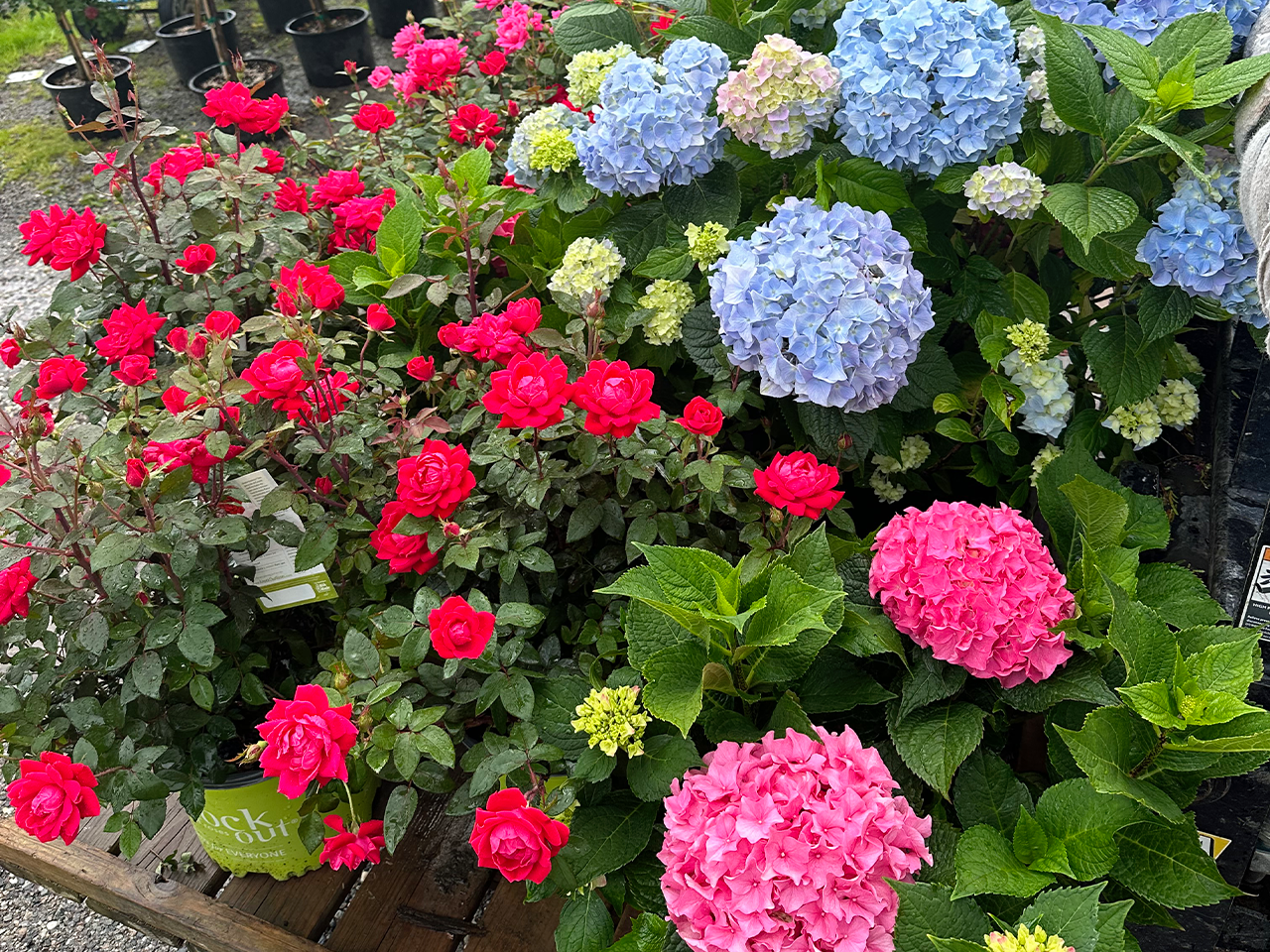 Image hover effect image