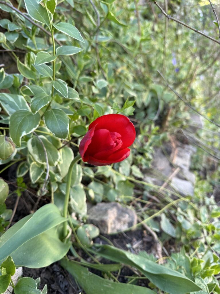 photo_12_2024-07-19_19-09-29