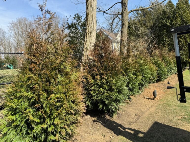 photo_15_2024-07-19_19-09-29