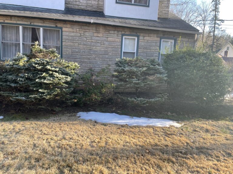 photo_1_2024-07-19_22-53-22