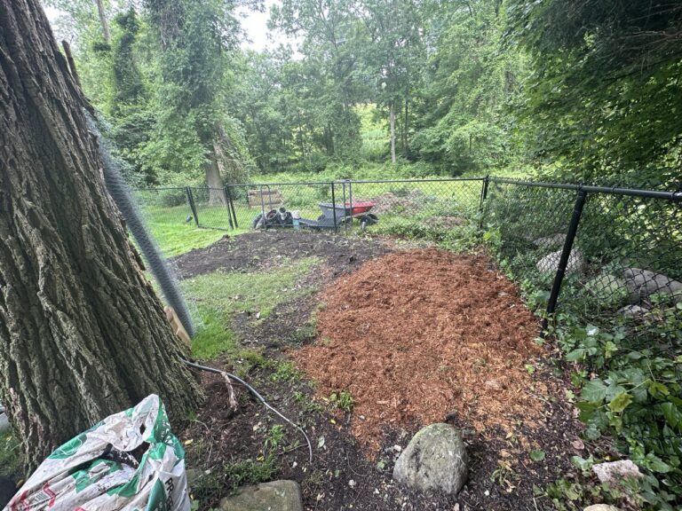 photo_2024-07-28_10-58-00