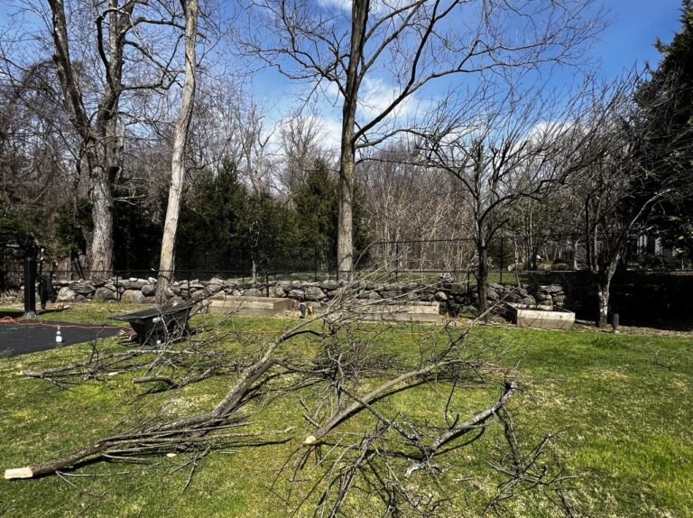 photo_23_2024-07-19_19-09-04