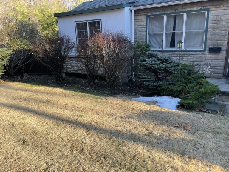 photo_3_2024-07-19_22-53-22