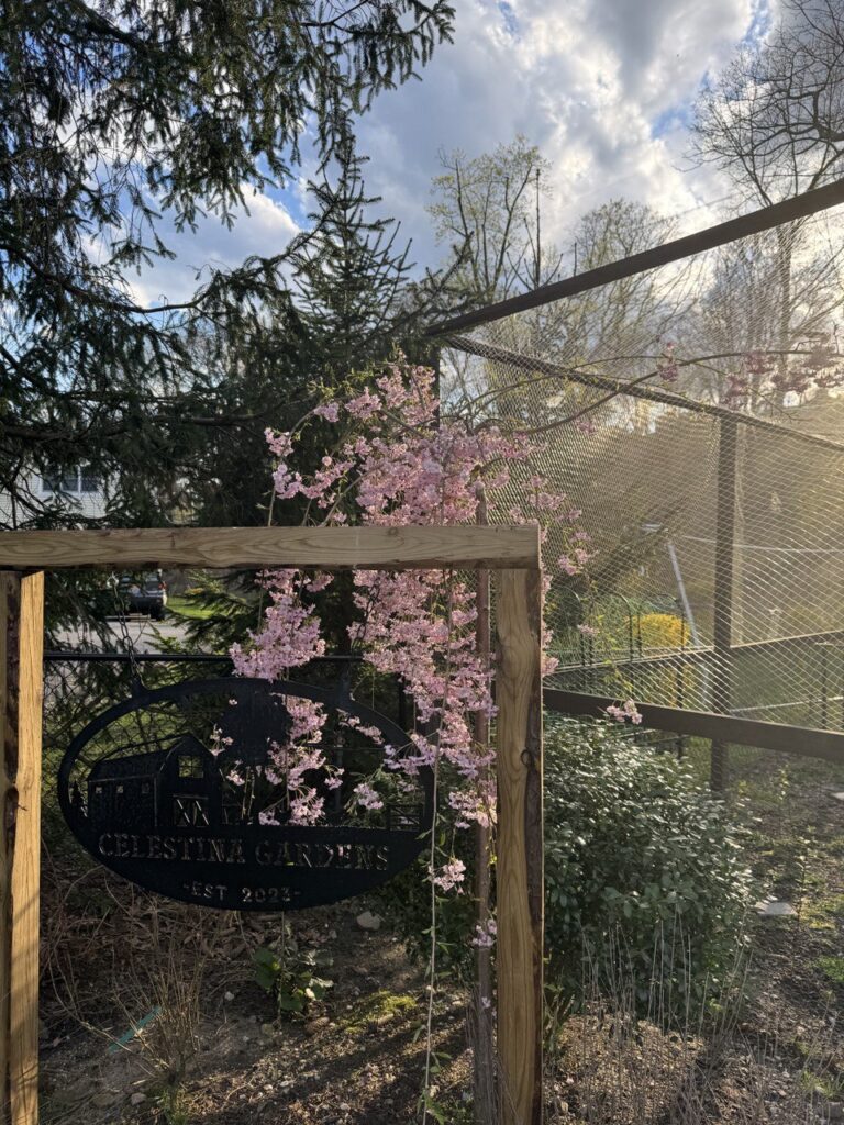 photo_5_2024-07-19_19-09-29