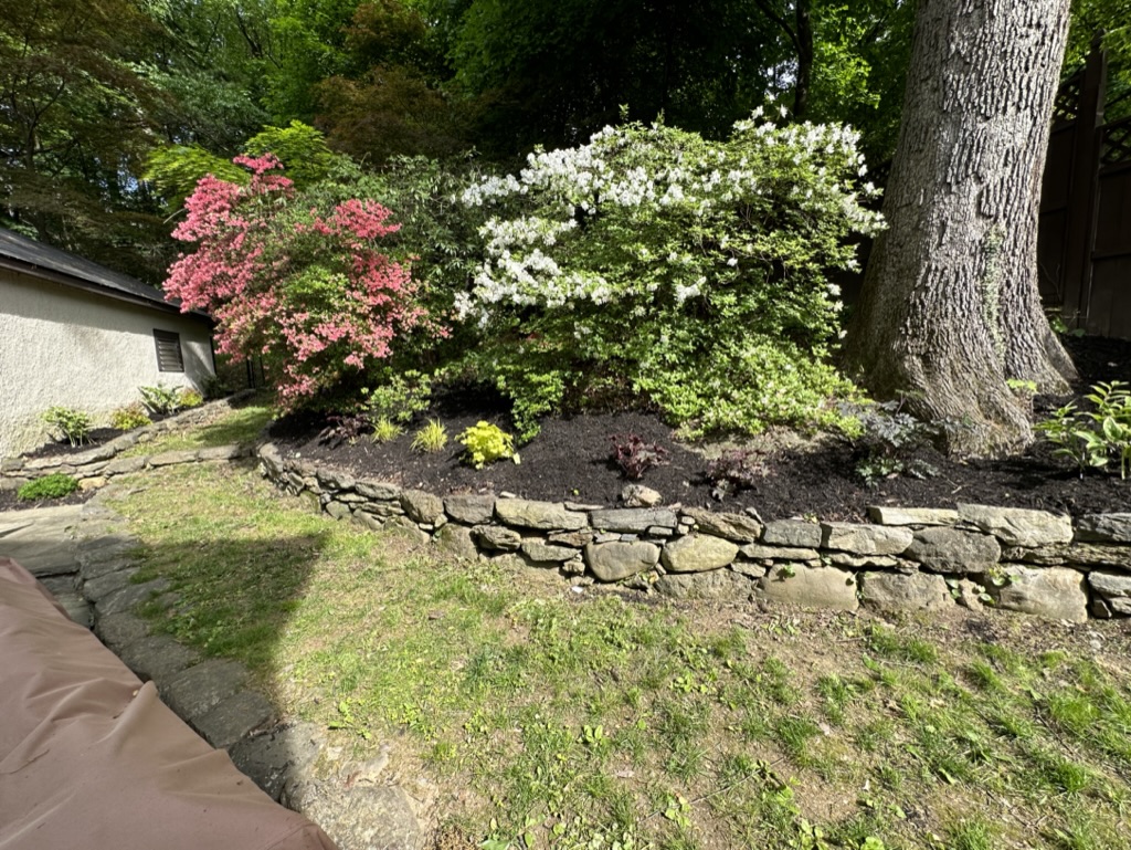 009B45E8-E9FD-4B4E-8580-06B68FC830DB_1_105_c