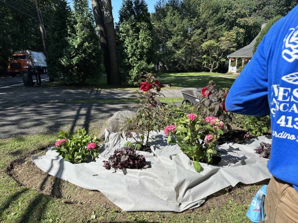 014475C8-55F8-4838-9810-35271F026D66_1_105_c