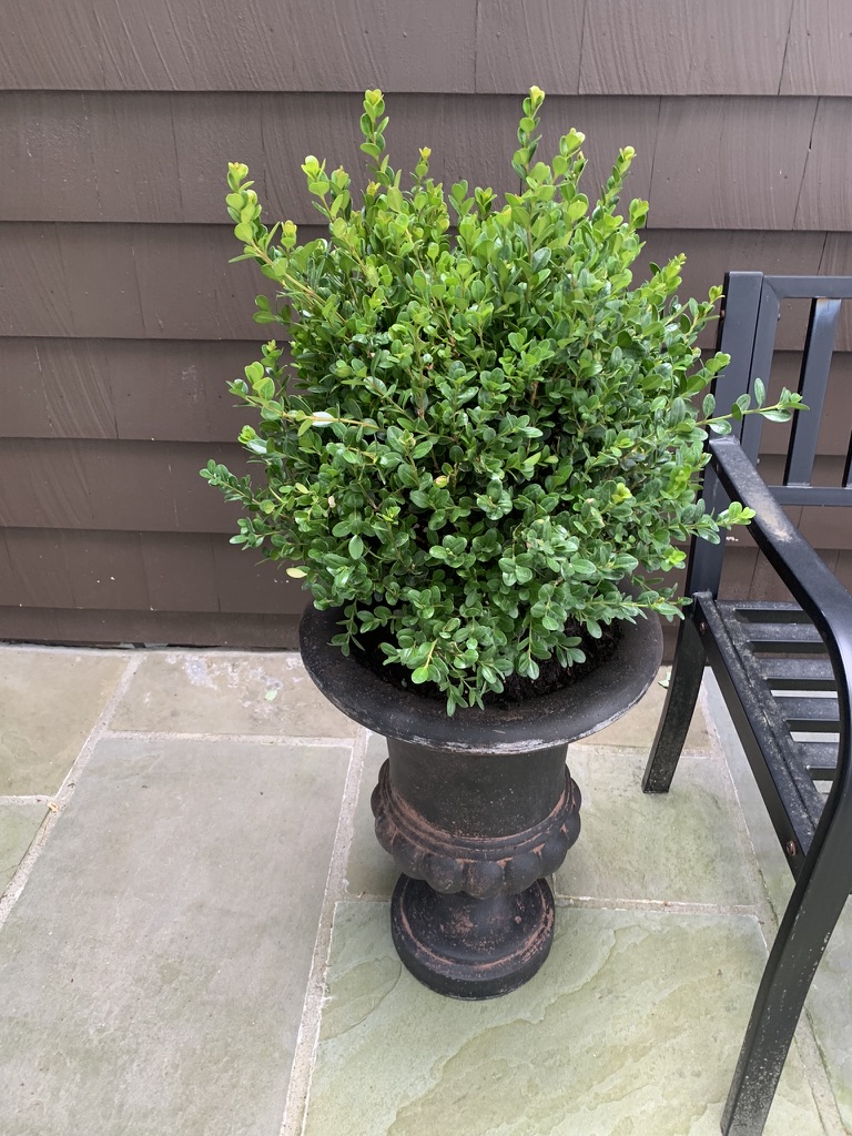 13A3E4E0-CAA5-415A-9C43-728ED367AB2D_1_105_c