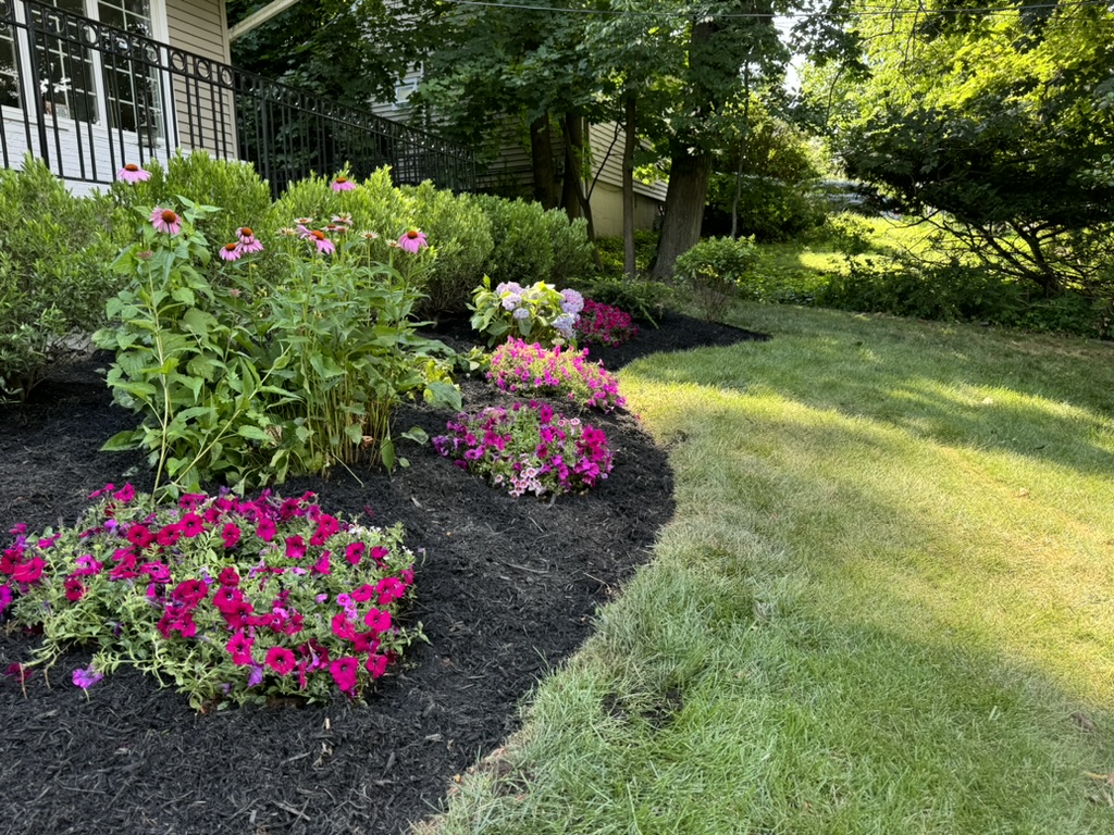 205423A1-5F4F-4E44-A37D-E7818EBF832B_1_105_c