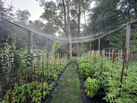 2F0E3366-28DF-44CF-99E1-04668BEDACE5_4_5005_c