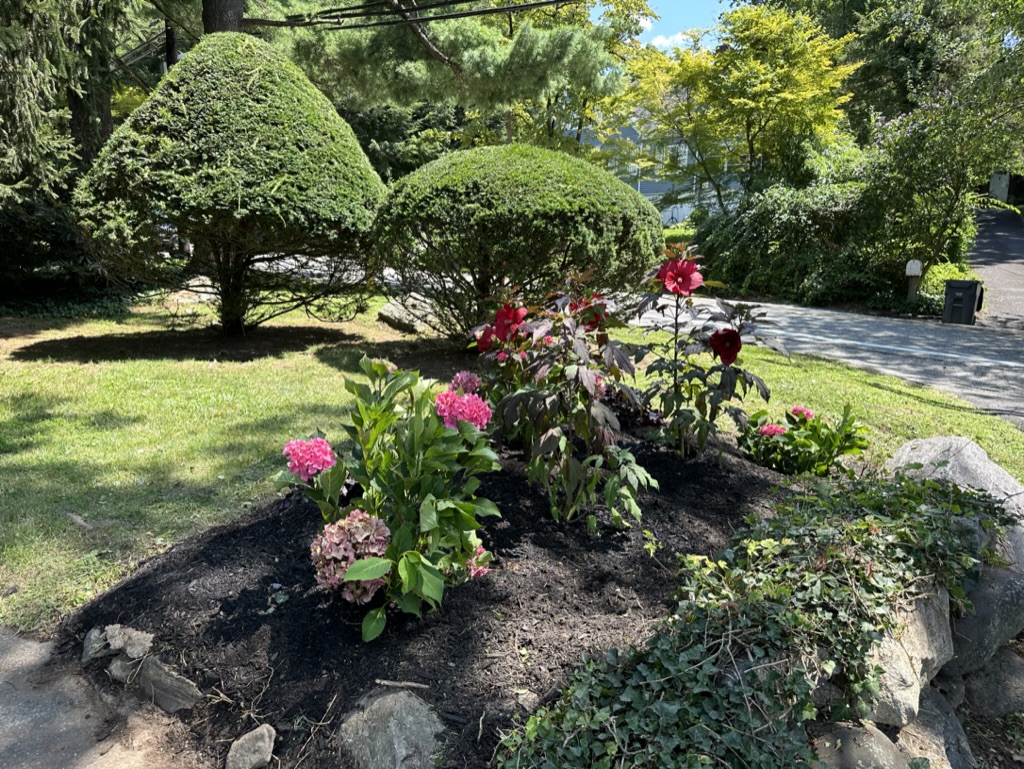 30AFAD4C-4F4A-424E-BCA3-0D90B3A3DE9E_1_105_c