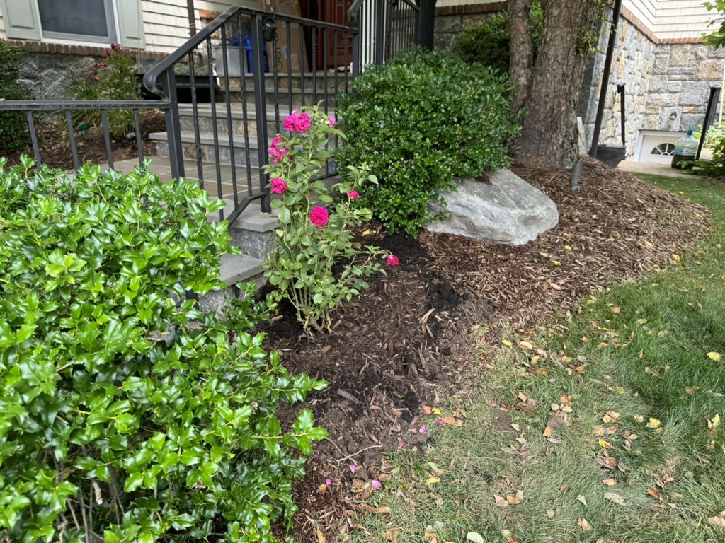 418C962D-D96B-44CA-8BEE-16FEF183064A_1_105_c