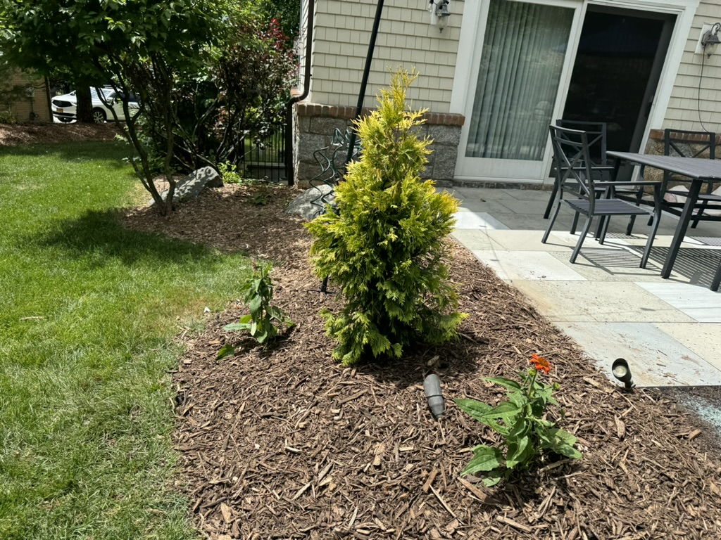 433E48B1-93F7-4338-ADAC-AD561336B564_1_105_c