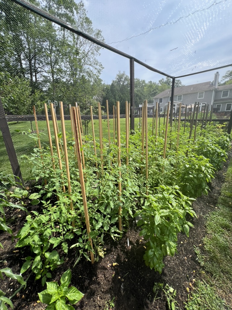 56150DE4-3E89-4129-8C00-F5C4B8DC82A8_1_105_c