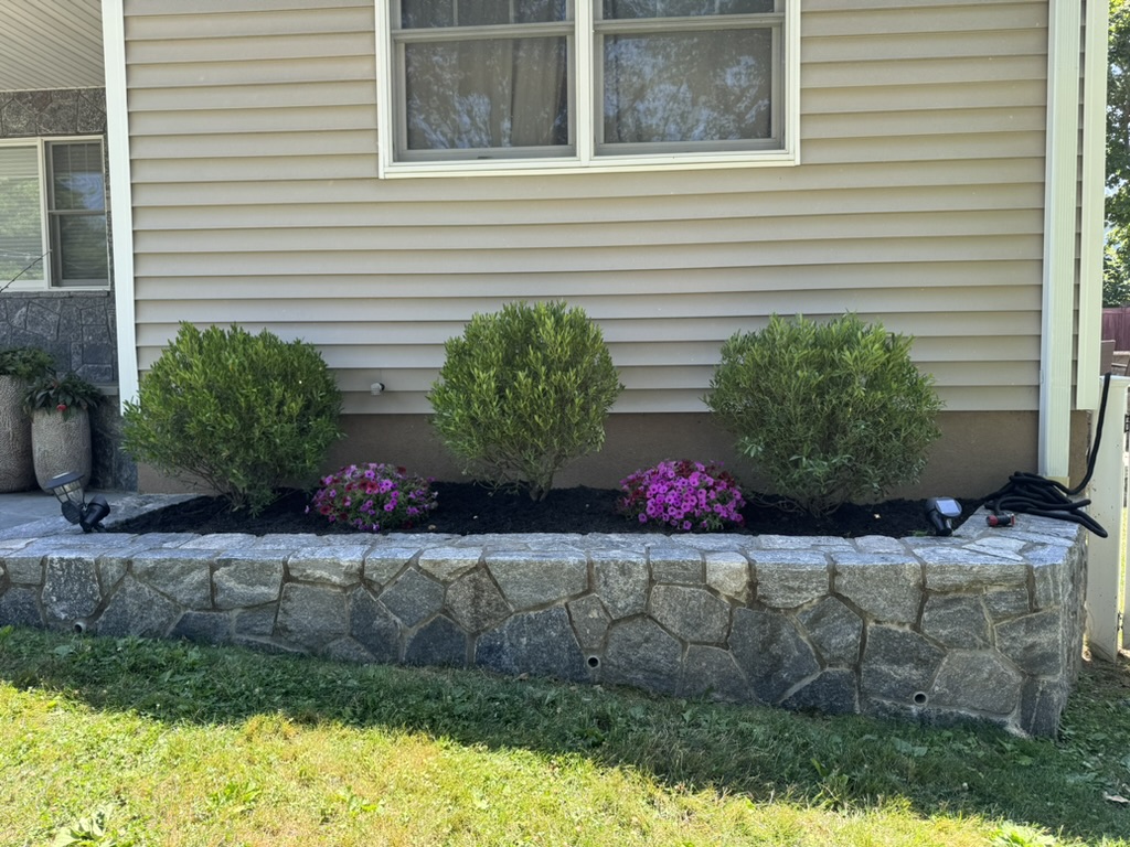 5F98625F-FD54-4206-AC46-230F4E3B433A_1_105_c