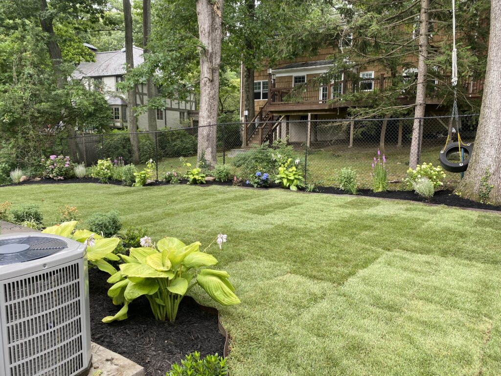 61730185227__438B1656-601E-41A4-AF1E-71F921B07A66