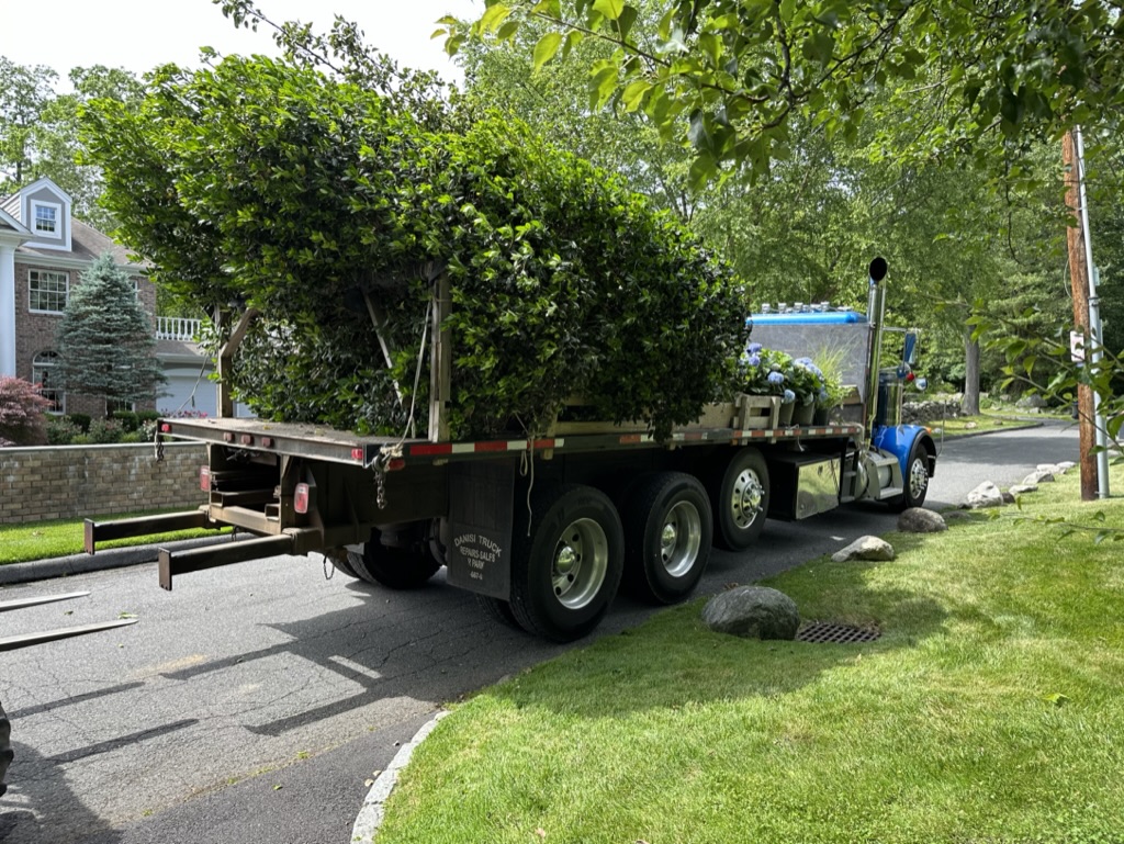 61D1B1B8-EA3A-405D-A10D-8C6E6E07E44C_1_105_c