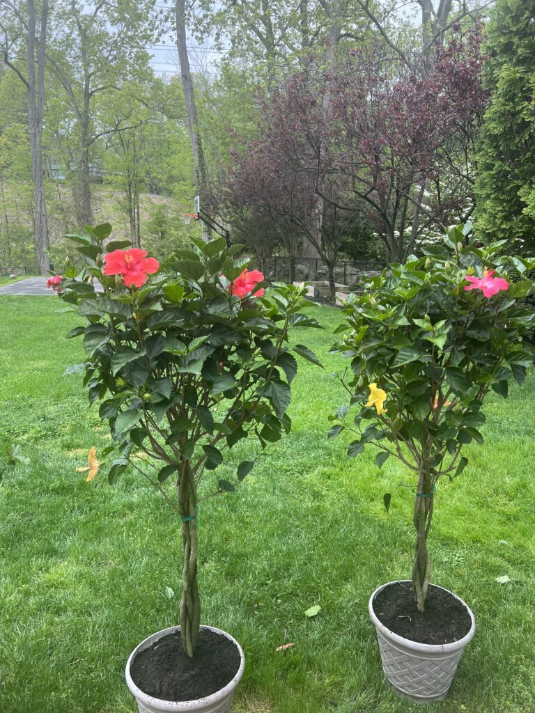 67432550266__EA41F312-4528-4E3F-8227-FACF3E2F619C