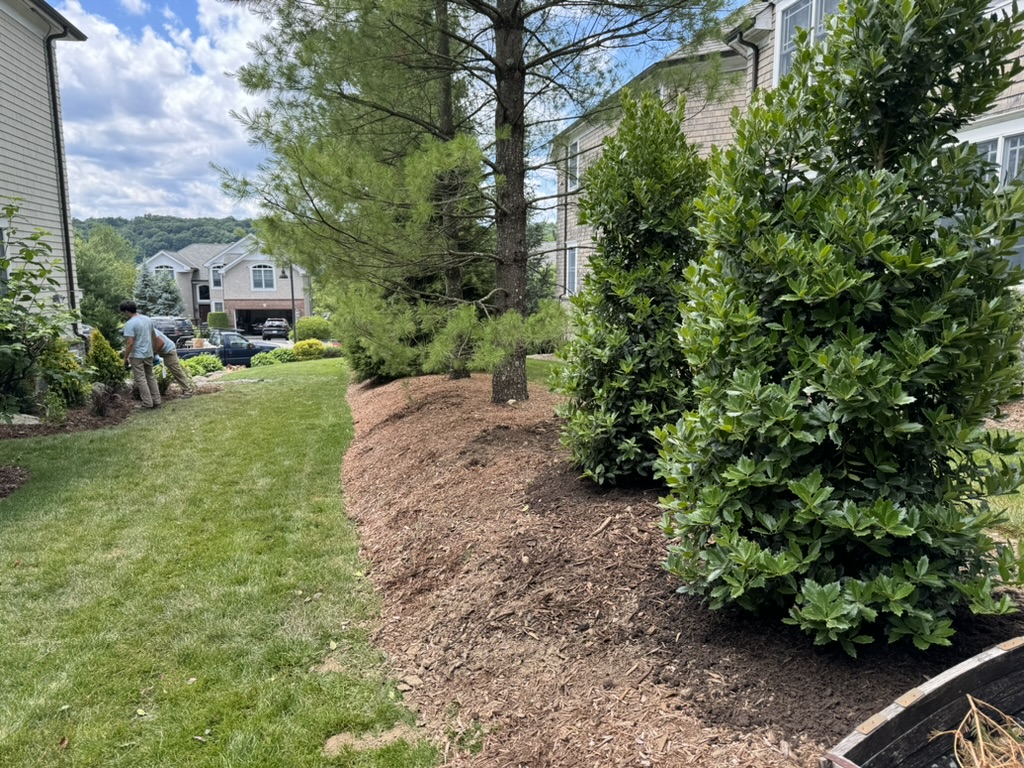 7034C931-34E8-4AF1-9C6D-27758270DA5D_1_105_c