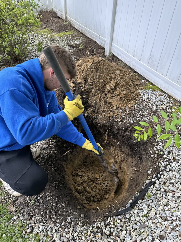 70473039690__66746743-E42C-4714-9365-AA72C7298449