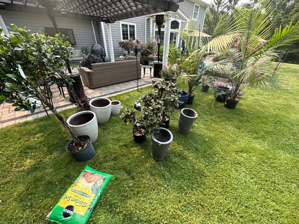 70783852386__681D2ECB-CFC6-4813-BA7D-884128F577C7