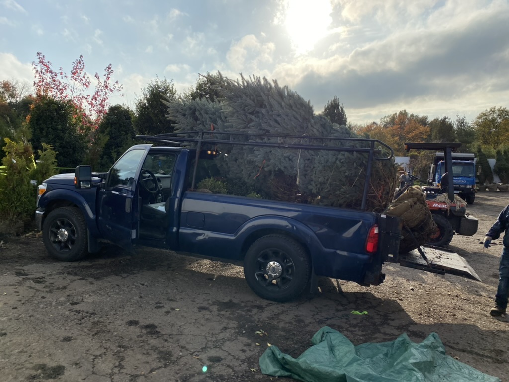 70E4D005-CE58-495C-A33E-B0AA58B1B999_1_105_c