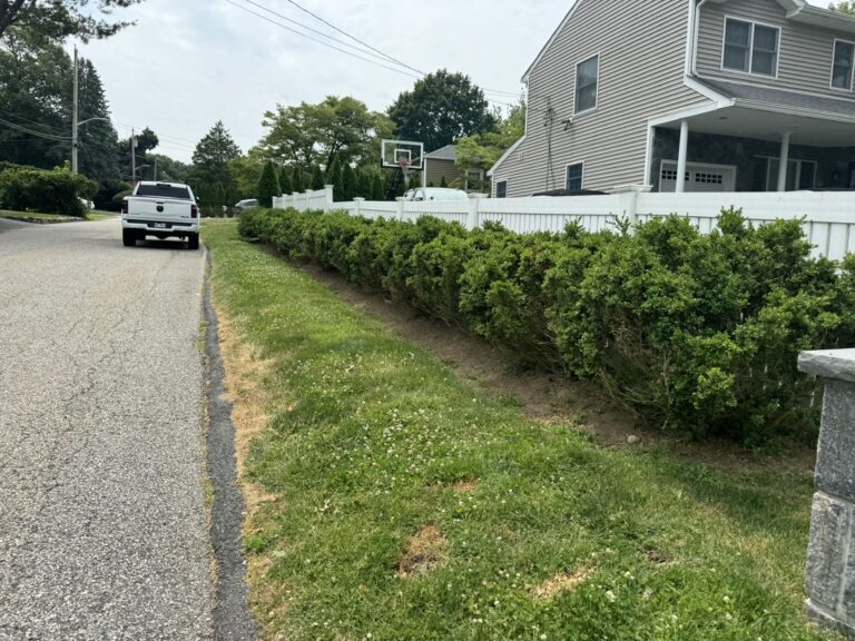 71D137B0-D1E1-42D8-BA67-C75627DA2527_1_105_c