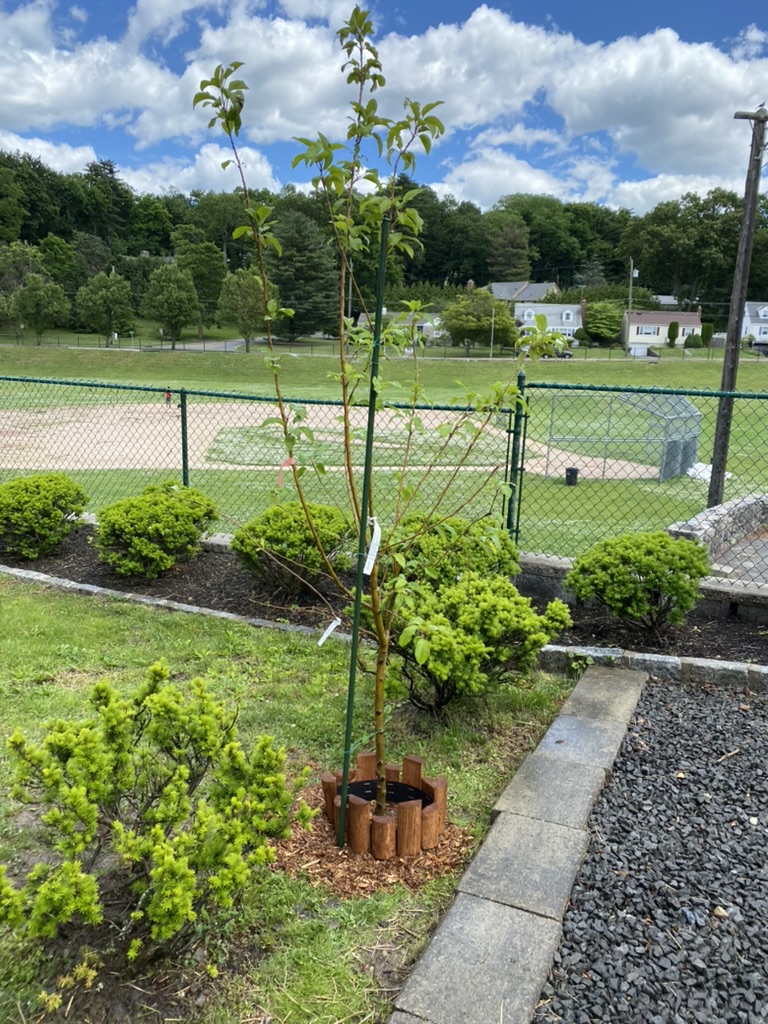 7D9E382B-7241-4E16-A8A7-19045928ABE6_1_105_c