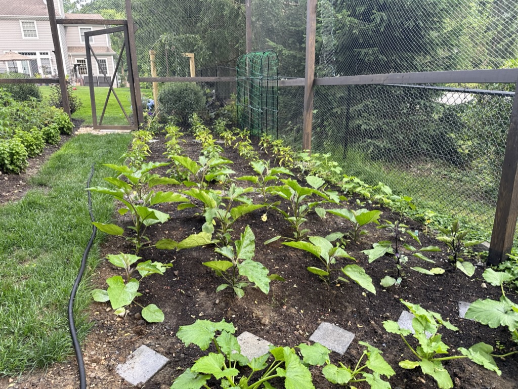 83190D20-2A7A-4CBC-99AD-E1714A4FCA5B_1_105_c