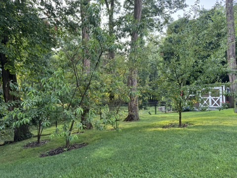 896B41F6-8F81-47AD-9471-41BFF5076A74_4_5005_c