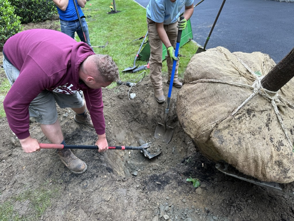 AB10D23F-6599-4413-AB9E-E018F2018127_1_105_c