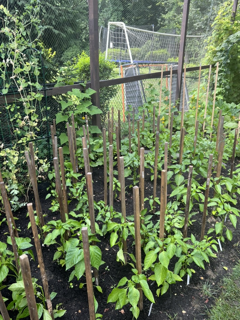 ACAF5829-601B-498B-B008-335EF9F60922_1_105_c