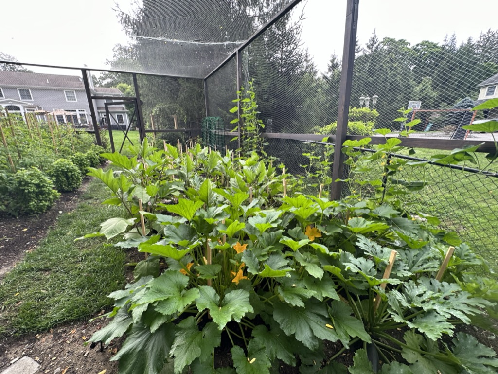 BE2F5623-21A5-4C06-9948-0A2A3925FB18_1_105_c