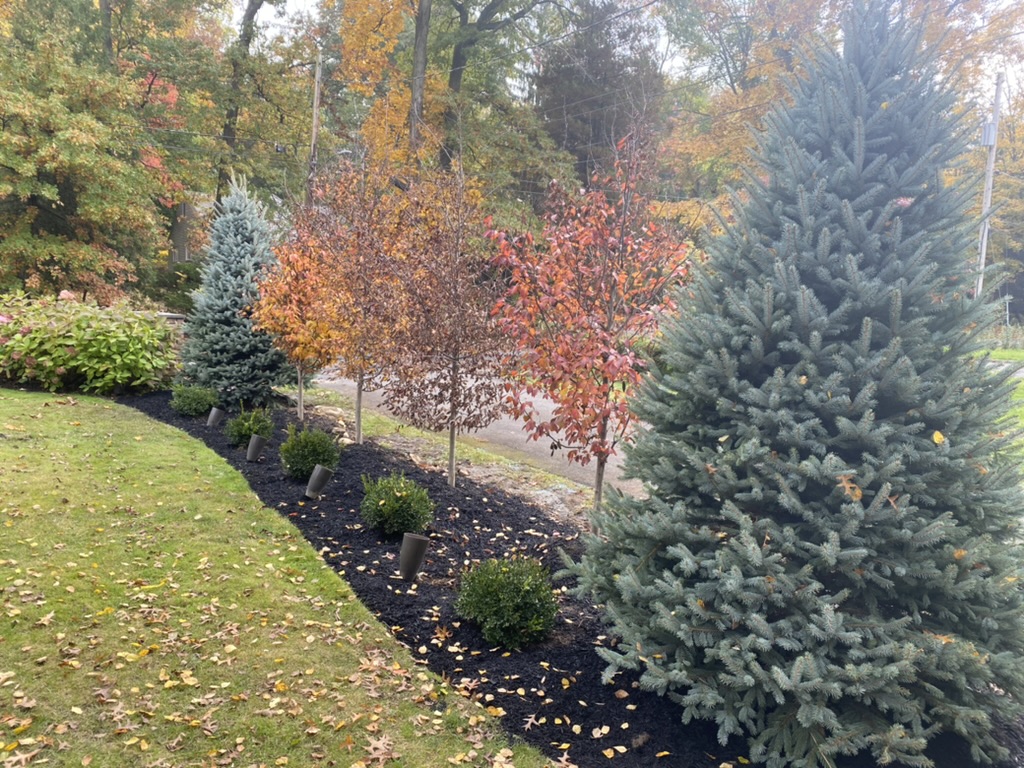 C1279CB6-2DF7-4D56-B9CA-63C8970C79F0_1_105_c