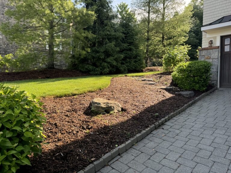 C1961E19-2303-47FA-8243-E0E039DD55B2_1_105_c