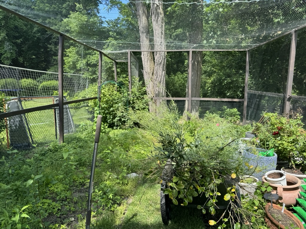 C727252E-DCCC-4640-883F-0CB1AF622FF9_1_105_c