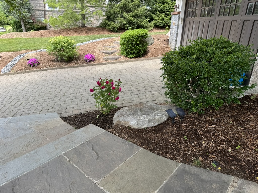 CCB52D35-CEE3-4251-96FC-E8C1ACD4C8A7_1_105_c