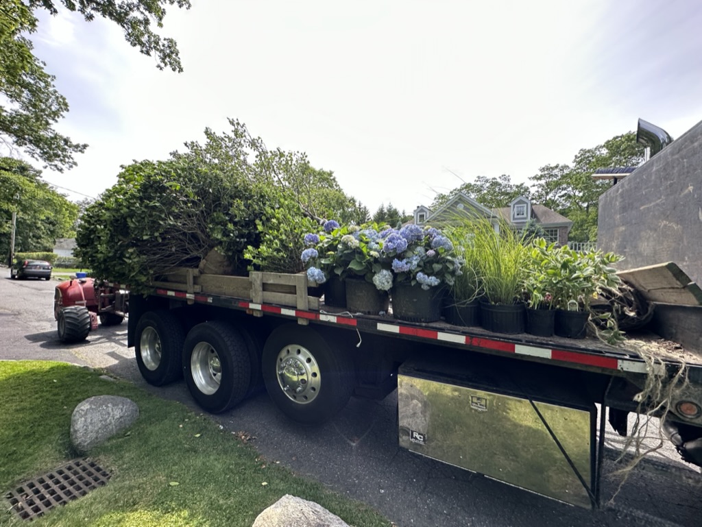 D080933C-7BDF-4B5B-AA21-CD5DF47FA3DA_1_105_c