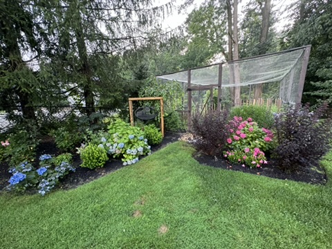 D18F368E-2A3C-49DD-827E-4C33A7E869D1_4_5005_c