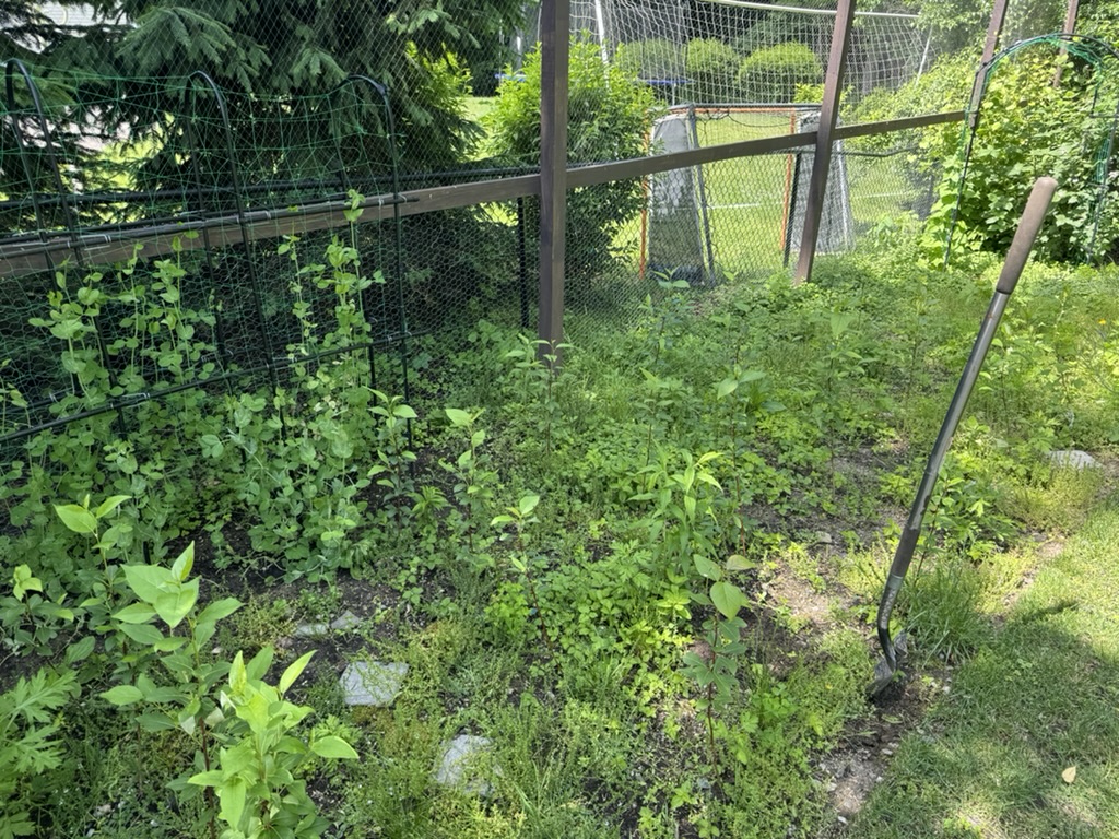 DF5A91DE-C4A3-4E7A-B57A-D6025D6DCD28_1_105_c