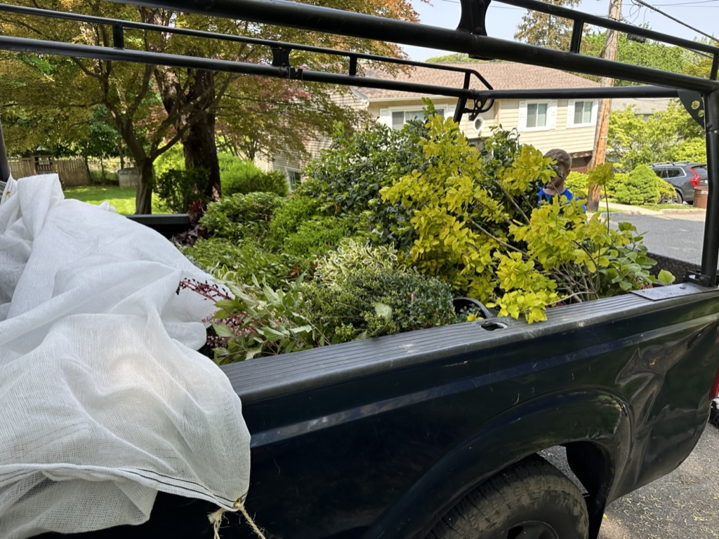 F353D9D9-513F-43CD-B38F-16E52EF92409_1_105_c