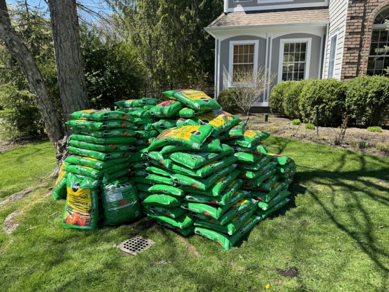 photo_10_2024-07-19_19-09-29